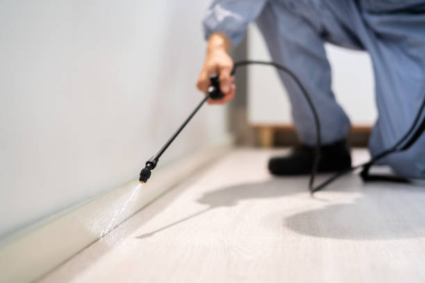 Licensed Pest Control service in Lakewood, IL - Show Me Pest Control